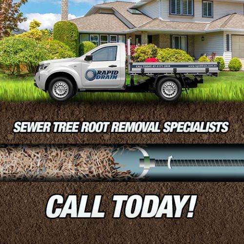 Sewer Tree Root Removal Specialists In Banyo